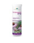 SCIENCE OF NATURE-ECHINACEA FRIZZ 20 tabs - S.O.F.