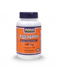 NOW ASTRAGALUS 500MG 100 CAPS - NOW FOODS