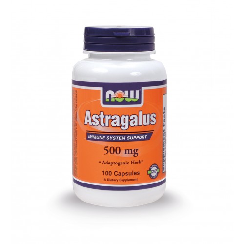 NOW ASTRAGALUS 500MG 100 CAPS - NOW FOODS