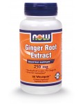 NOW GINGER ROOT EXTRACT 250 MG 90 VCAPS
 - NOW FOODS