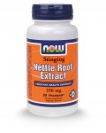 NOW NETTLE ROOT EXTRACT 250 MG 90 VCAPS
 - NOW FOODS
