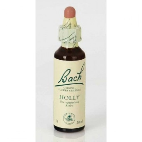 POWER HEALTH DR.BACH HOLLY WATER 20ML